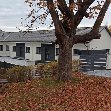 Apartmany Volavka 1 Planá nad Lužnicí Kültér fotó